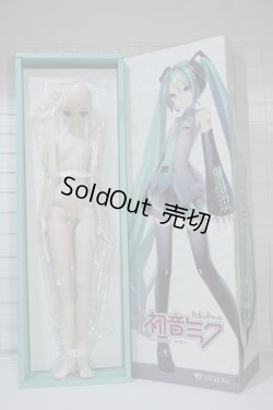 画像1: DD /初音ミク Y-24-03-27-051-NY-ZY