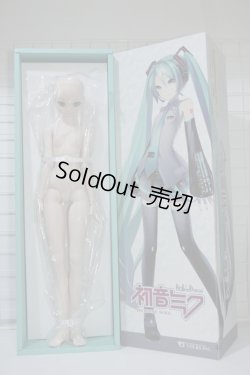 画像1: DD /初音ミク Y-24-03-27-051-NY-ZY