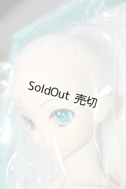 画像4: DD /初音ミク Y-24-03-27-051-NY-ZY