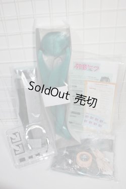 画像6: DD /初音ミク Y-24-03-27-051-NY-ZY