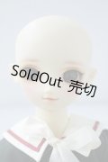 ＳＤG/Ｆ-13：アダプションモデル U-23-11-22-215-TN-ZU