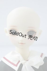 ＳＤG/Ｆ-13：アダプションモデル U-23-11-22-215-TN-ZU