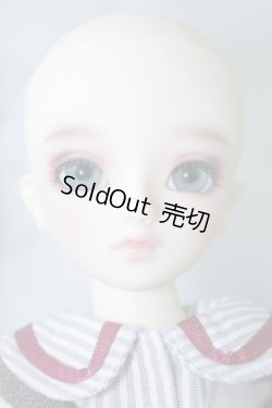 画像3: SDMG/コーディネートモデルF-30 U-24-01-03-214-TN-ZU