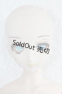 DDH-07カスタムヘッド+オビツ60ボディ A-24-01-31-1146-NY-ZU