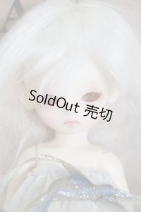 swandoll/una A-24-02-28-1145-TN-ZA