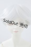 SDGｒBボディ＆DWC-01カスタムメイクヘッド U-23-12-13-213-TN-ZU