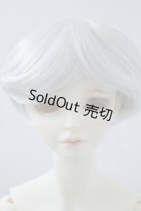 SDGｒBボディ＆DWC-01カスタムメイクヘッド U-23-12-13-213-TN-ZU