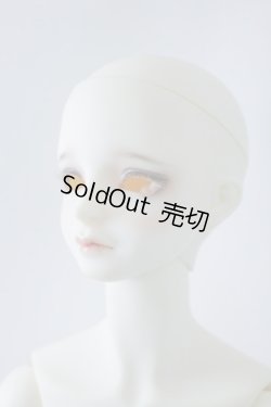 画像3: SDGｒBボディ＆DWC-01カスタムメイクヘッド U-23-12-13-213-TN-ZU