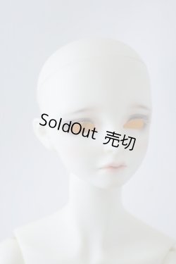 画像4: SDGｒBボディ＆DWC-01カスタムメイクヘッド U-23-12-13-213-TN-ZU