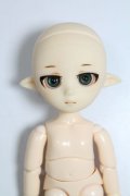 PARABOX/プチフェアリー(PB11-02ヘッド+オビツ11ボディ) A-24-08-07-422-KN-ZA