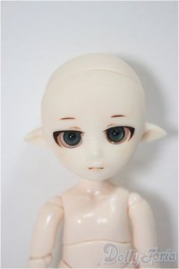 PARABOX/プチフェアリー(PB11-02ヘッド+オビツ11ボディ)/ A-25-05-28-307-KN-ZA