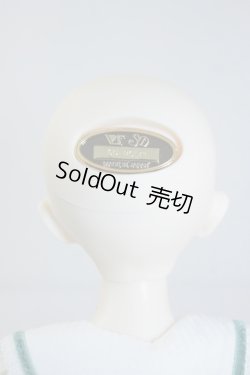 画像4: SDM　コーディネートモデル　Fー45 U-23-12-27-212-TN-ZU