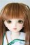 画像1: SDM　コーディネートモデル　Fー33 U-25-02-04-214-TN-ZU (1)