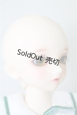 画像3: SDM コーディネートモデル Fー33 U-25-02-04-214-TN-ZU