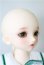 画像3: SDM　コーディネートモデル　Fー33 U-25-02-04-214-TN-ZU