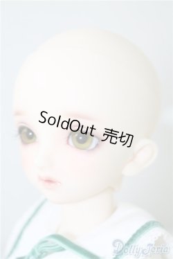 画像4: SDM コーディネートモデル Fー33 U-25-02-04-214-TN-ZU