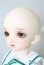 画像4: SDM　コーディネートモデル　Fー33 U-25-02-04-214-TN-ZU