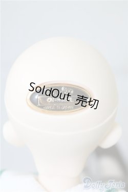 画像5: SDM コーディネートモデル Fー33 U-25-02-04-214-TN-ZU