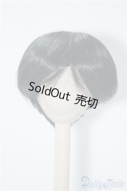 画像1: 9〜10inch/ウィッグ U-24-09-03-022-TN-ZU