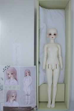 画像5: SD/スタンダードモデル:まい PSホワイトVer. U-24-01-10-216-TN-ZU