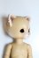 画像3: LUTS/ZUZUDELF:LURUS　ALADDIN LIMITED A-24-01-24-1085-TN-ZA