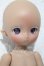画像3: IMOMODOLL/Guruヘッド+1/6ボディセット A-26-05-27-1043-TN-ZU (3)