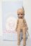 画像5: IMOMODOLL/Guruヘッド+1/6ボディセット A-26-05-27-1043-TN-ZU (5)