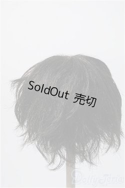 画像2: 9〜10inch/VOLKS製ウィッグ Y-25-02-19-215-KD-ZY