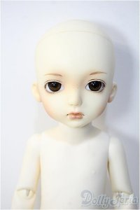custumhouse/ange AI:basic uri Y-24-12-25-271-TN-ZY