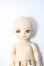 画像1: BF/ポケットフェアリー:charlie Y-24-12-18-342-TN-ZY (1)