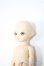 画像3: BF/ポケットフェアリー:charlie Y-24-12-18-342-TN-ZY (3)