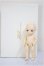 画像6: BF/ポケットフェアリー:charlie/BJD　球体関節人形 A-25-07-23-212-TN-ZA