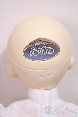 画像5: ROSENLIED/Tuesdays Child Basic Ravie/BJD　球体関節人形 A-25-07-23-277-TN-ZA