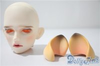 ramcube/RaM+Plus　DM.Camill head A-25-04-23-1024-KD-ZU