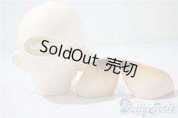 画像4: ramcube/RaM+Plus　DM.Camill head A-25-04-23-1024-KD-ZU