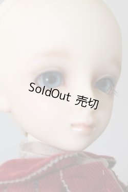 画像4: MSDGIRL/コーディネートモデル：F-06 U-24-03-06-204-KN-ZU