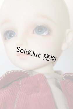 画像5: MSDGIRL/コーディネートモデル：F-06 U-24-03-06-204-KN-ZU