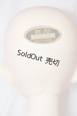 画像6: SDGr/サファイアあま色の髪の乙女Ver. U-24-03-06-220-TN-ZU