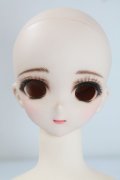 DDH-010カスタムヘッド/BJD　球体関節人形 A-25-03-12-401-TN-ZA