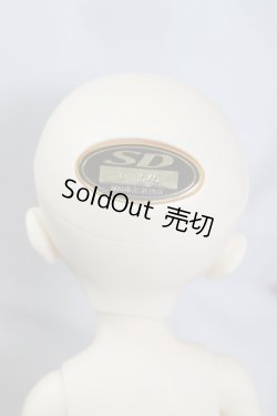 画像9: 幼MIDI/ピノコ U-24-05-01-211-TN-ZU