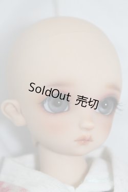 画像5: SDM女の子/コーディネートモデルF-60 U-24-03-20-209-TN-ZU