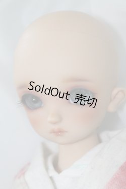 画像6: SDM女の子/コーディネートモデルF-60 U-24-03-20-209-TN-ZU