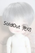 withdoll/Penguins Holiday - Pooky A-24-04-10-1136-TN-ZU