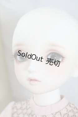 画像7: SDMGIRL/コーディネイトモデルF-58 U-24-04-17-215-KD-ZU