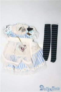 MSD&MDD/OF：衣装セット U-24-12-03-052-TN-ZU