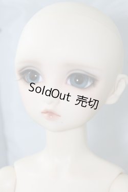 画像7: SD女の子/フルチョイス:F-01 U-24-05-01-218-TN-ZU