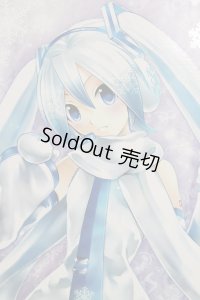 DD/雪ミク　Reboot A-24-05-15-1144-KD-ZA