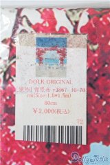 DOLKオリジナル背景布/100m×150ｃｍ U-24-11-19-021-KD-ZU