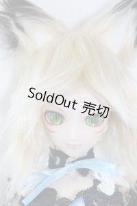 DDHカスタムヘッド＆オビツ60ボディ A-24-05-15-1149-TN-ZU