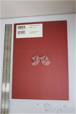 画像2: 書籍/Dollybird/ A-25-07-30-280-TN-ZA